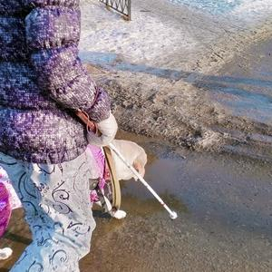 Обучение в  рамках проекта &laquo;Вектор доступности&raquo;